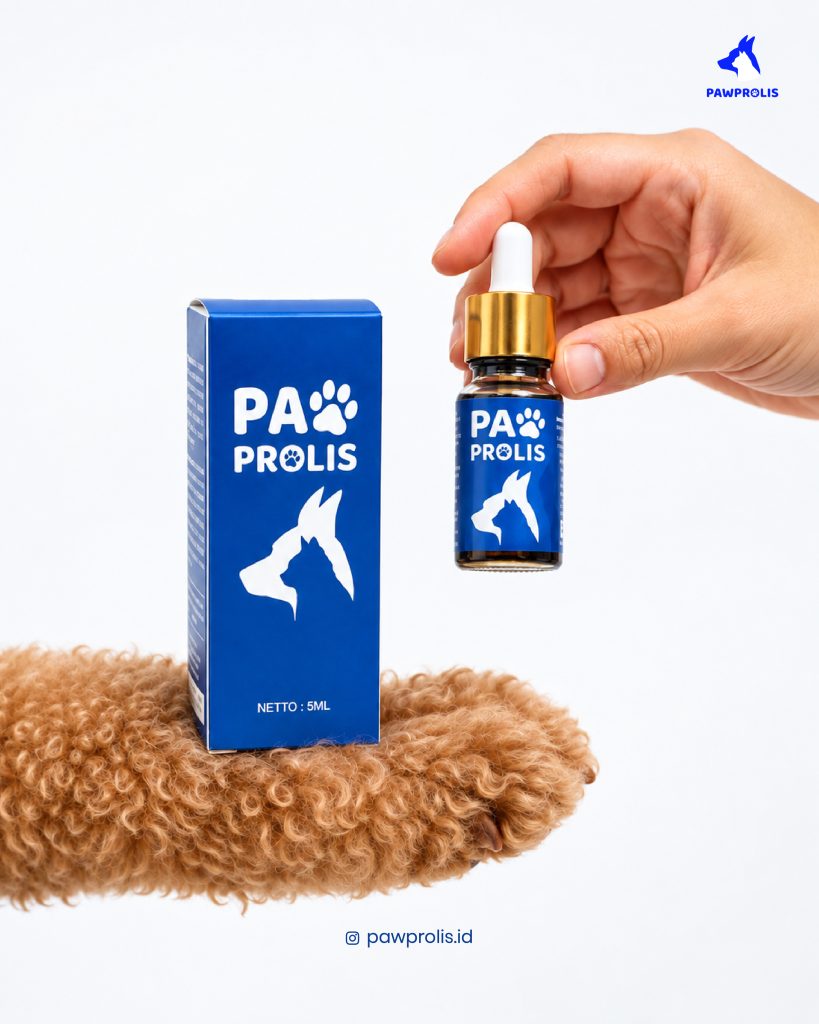 Tangan memegang botol tetes Pawprolis di samping kemasannya