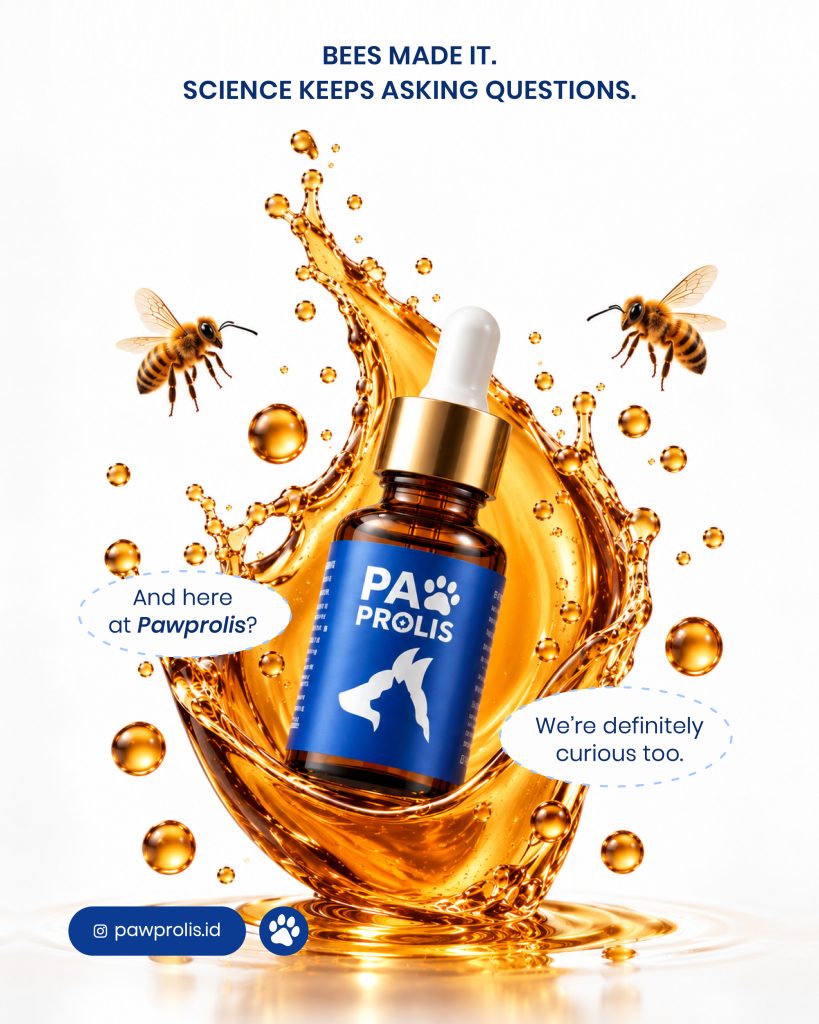 Botol Pawprolis di tengah percikan propolis keemasan dan lebah — Bees made it. Science keeps asking questions.